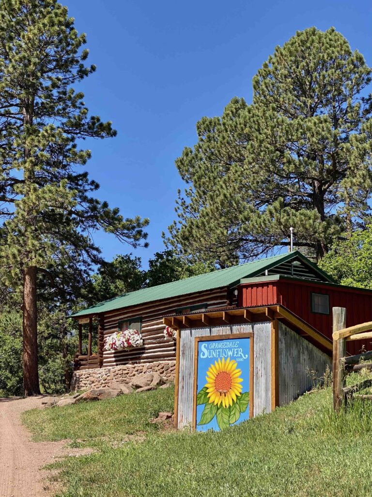 unique small towns to explore on a colorado road trip. wood cabin with flowerbox windows and sunflower painted mural on the side. 