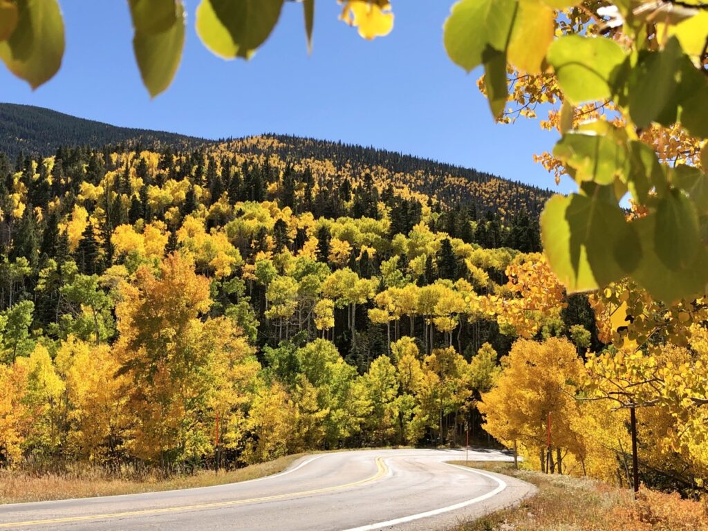 Cuchara Pass fall foliage, Southern Colorado