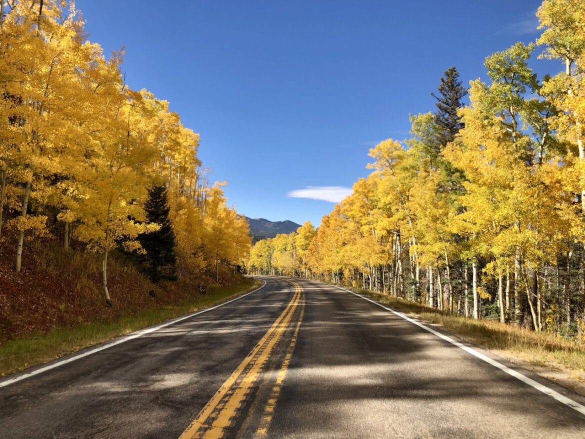 The Most Beautiful Places for Fall Foliage in Colorado