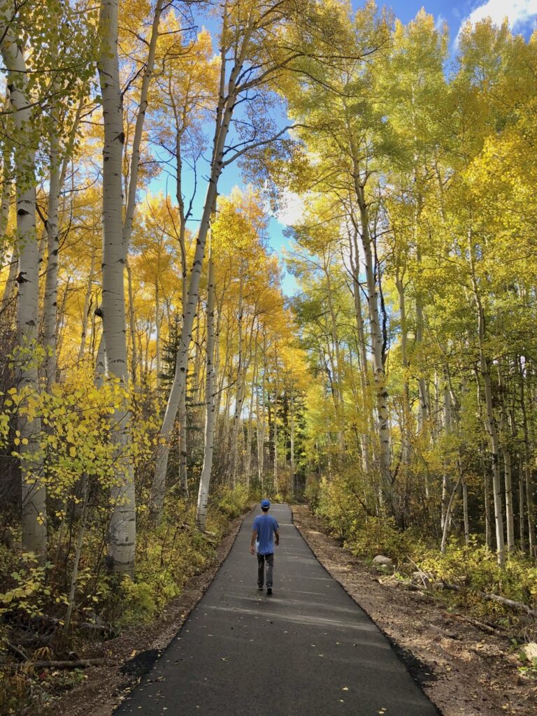 golden tones of the aspen trees in snowmass, the most beautiful places for fall colors in colorado 