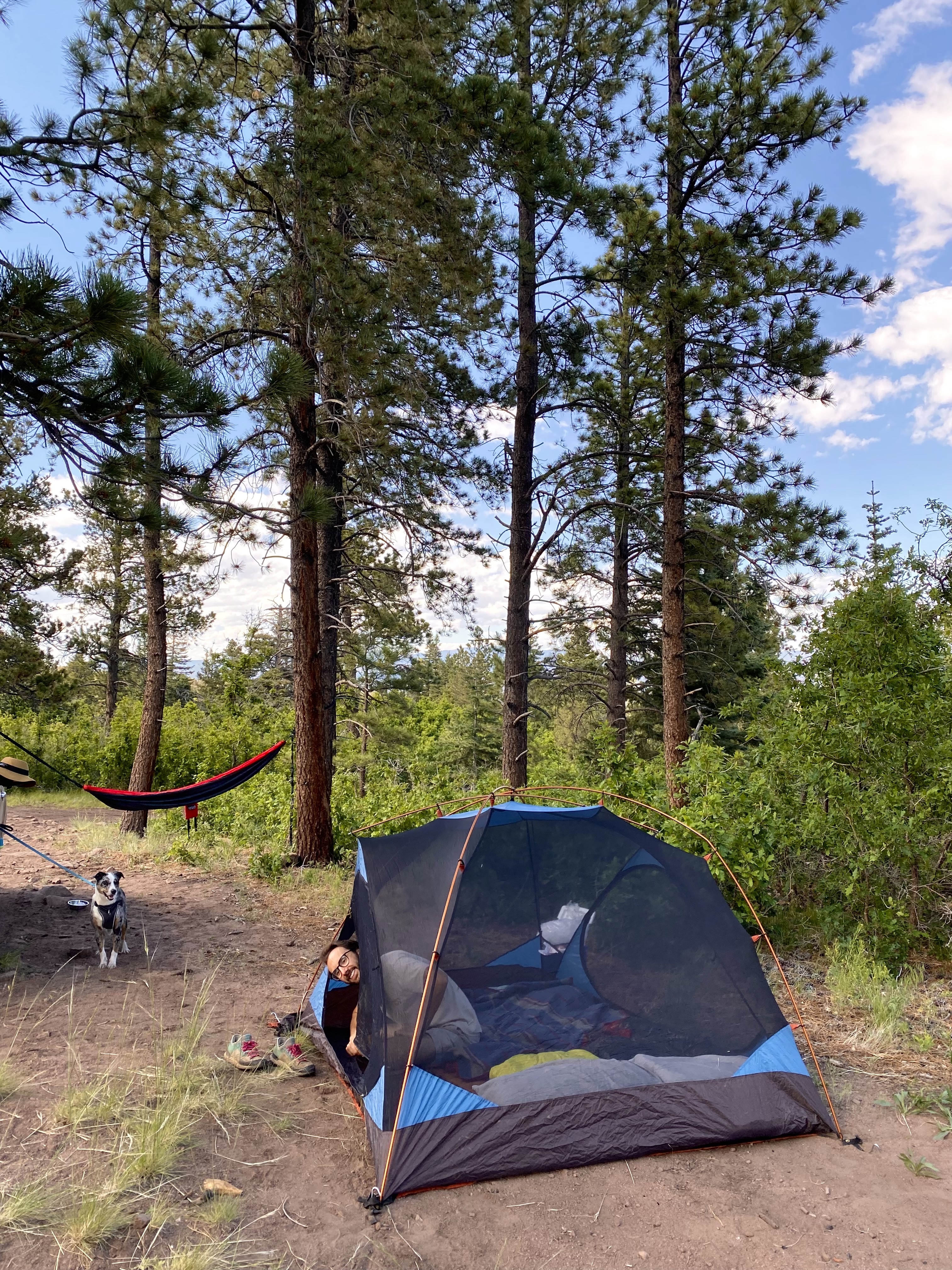 tent camping and pine trees. visiting westcliffe, one of colorado's greatest small towns