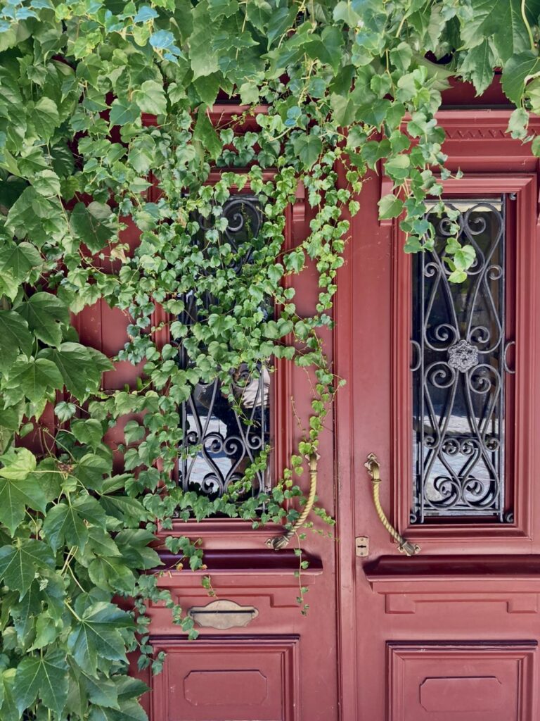 green ivy against red door with glass panes. 