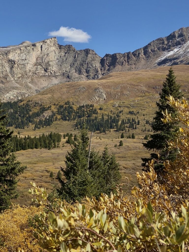 Golden toned mountains with green pine trees and bright blue sky. 