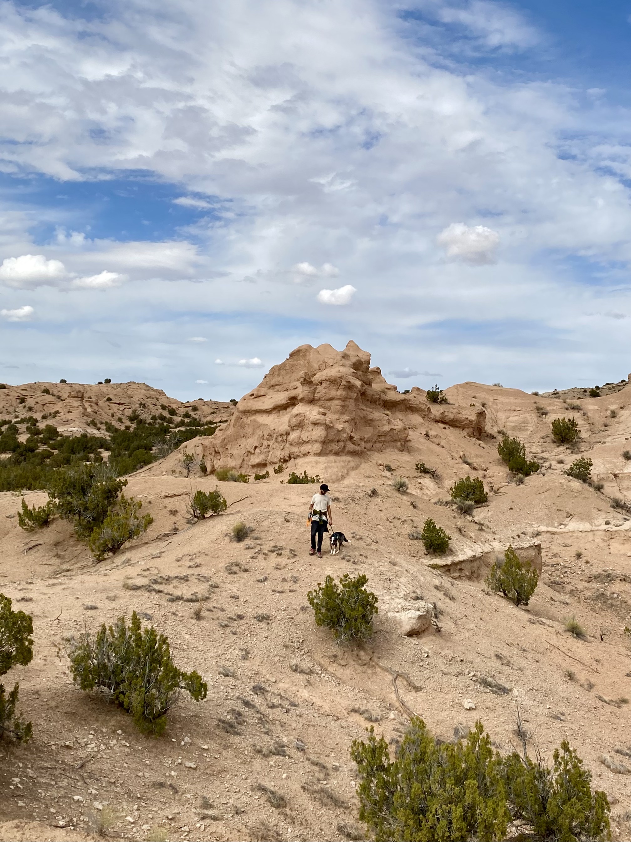 Jonathan, in a white shirt and black pants, stands next to Queso, the dog. Surrounding him is green juniper bushes and pale colored beige rocks. 