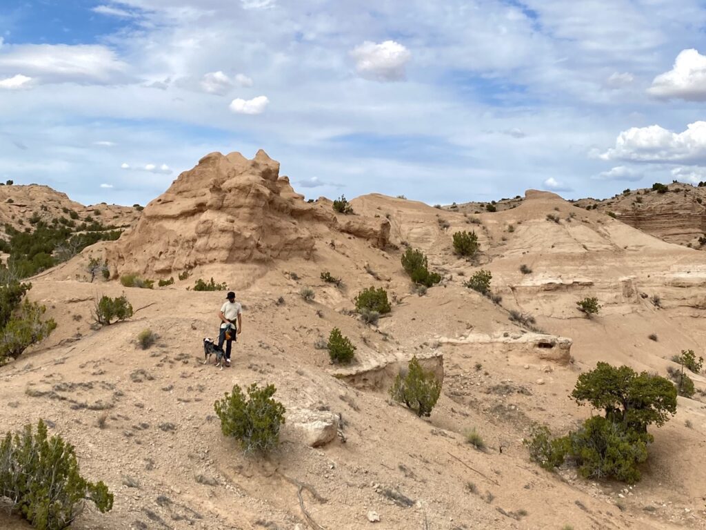 Taos, New Mexico Desert Landscape