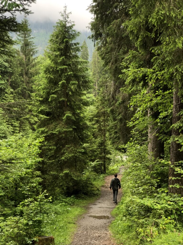 The Best Things To Do Around Interlaken Switzerland Wandering Whittles   IMG 1900 Large 768x1024 