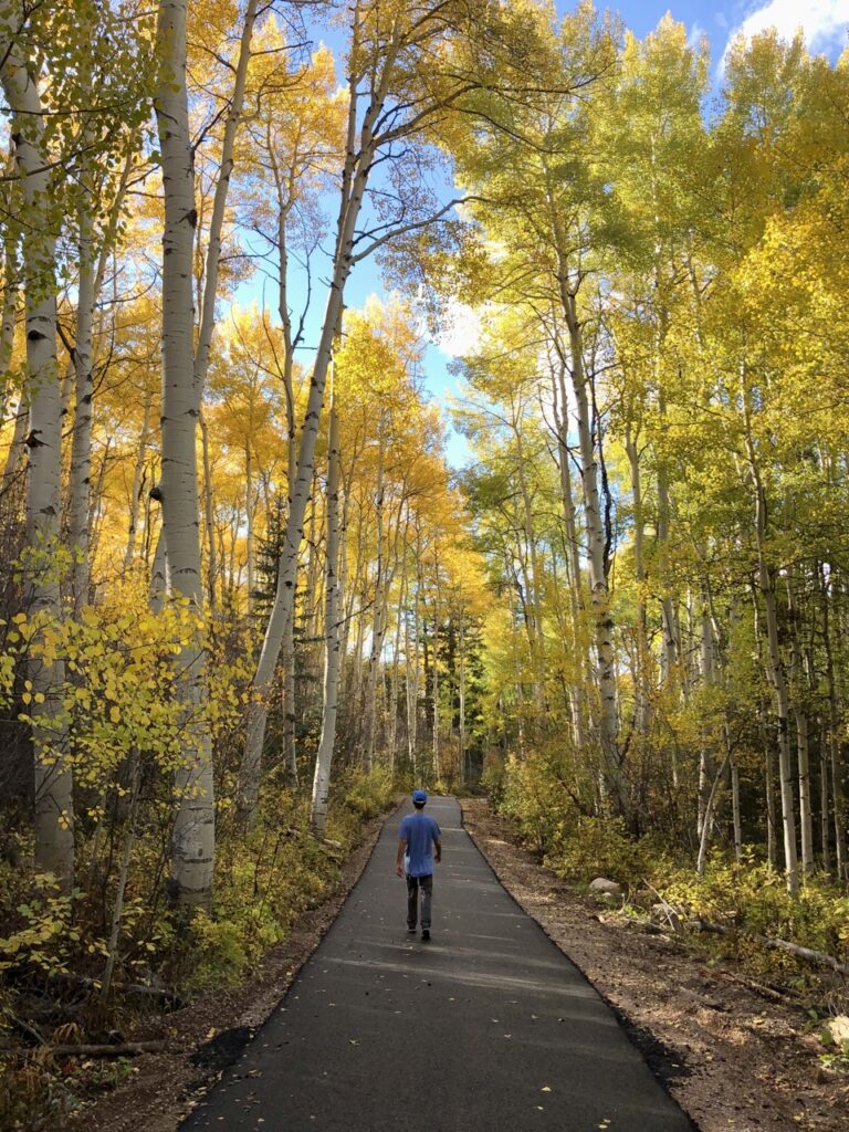 Jonathan, in a blue hat and shirt, walks along a paved pathway into a forest of yellow trees. about us. 