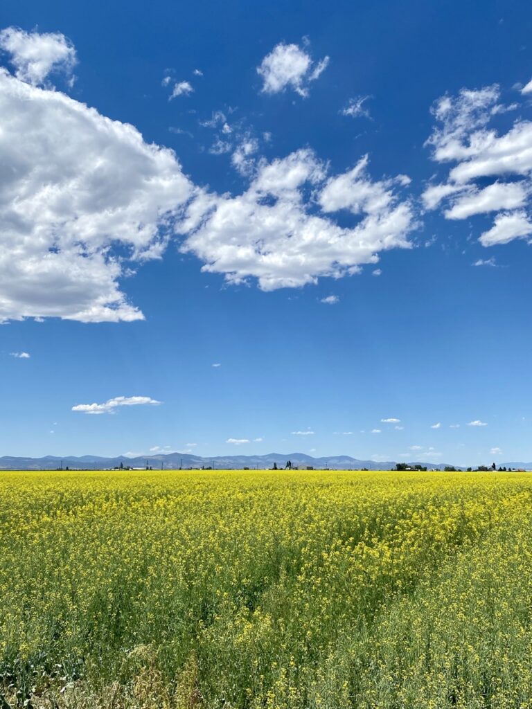 3 day guide to the fantastic south fork, colorado 