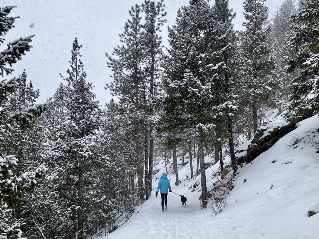 Caroline and Queso on a snowy winter trail.