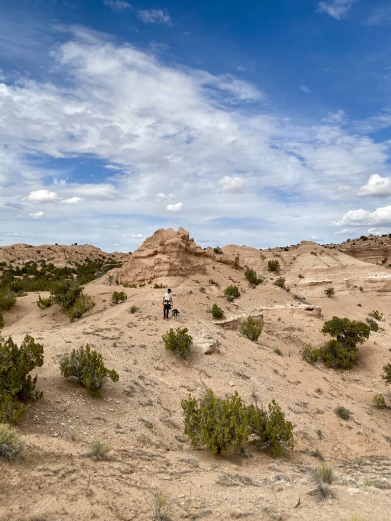 epic northern new mexico road trip itinerary - desert badlands with scrub bush 