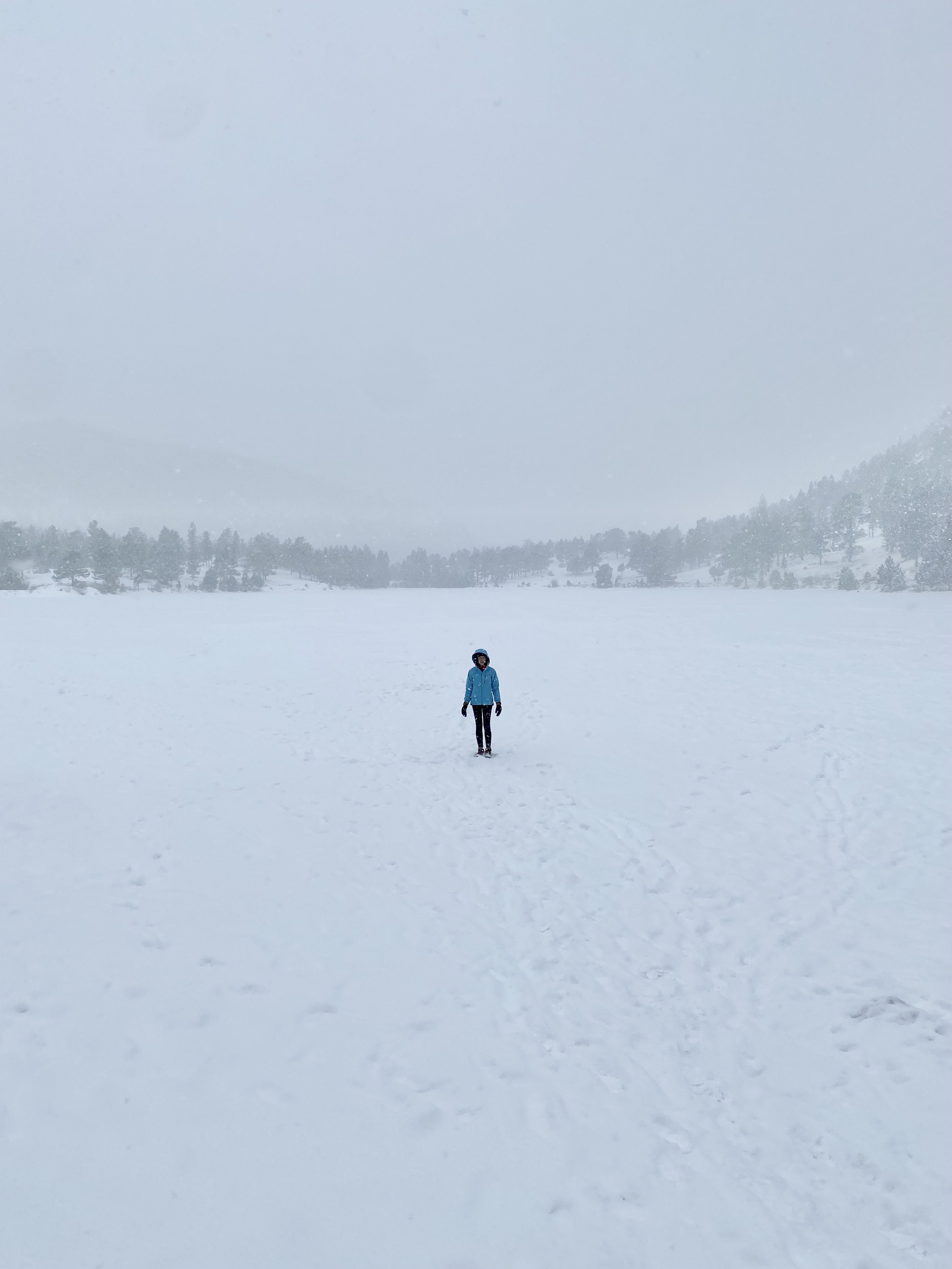 snowy and frozen lily lake