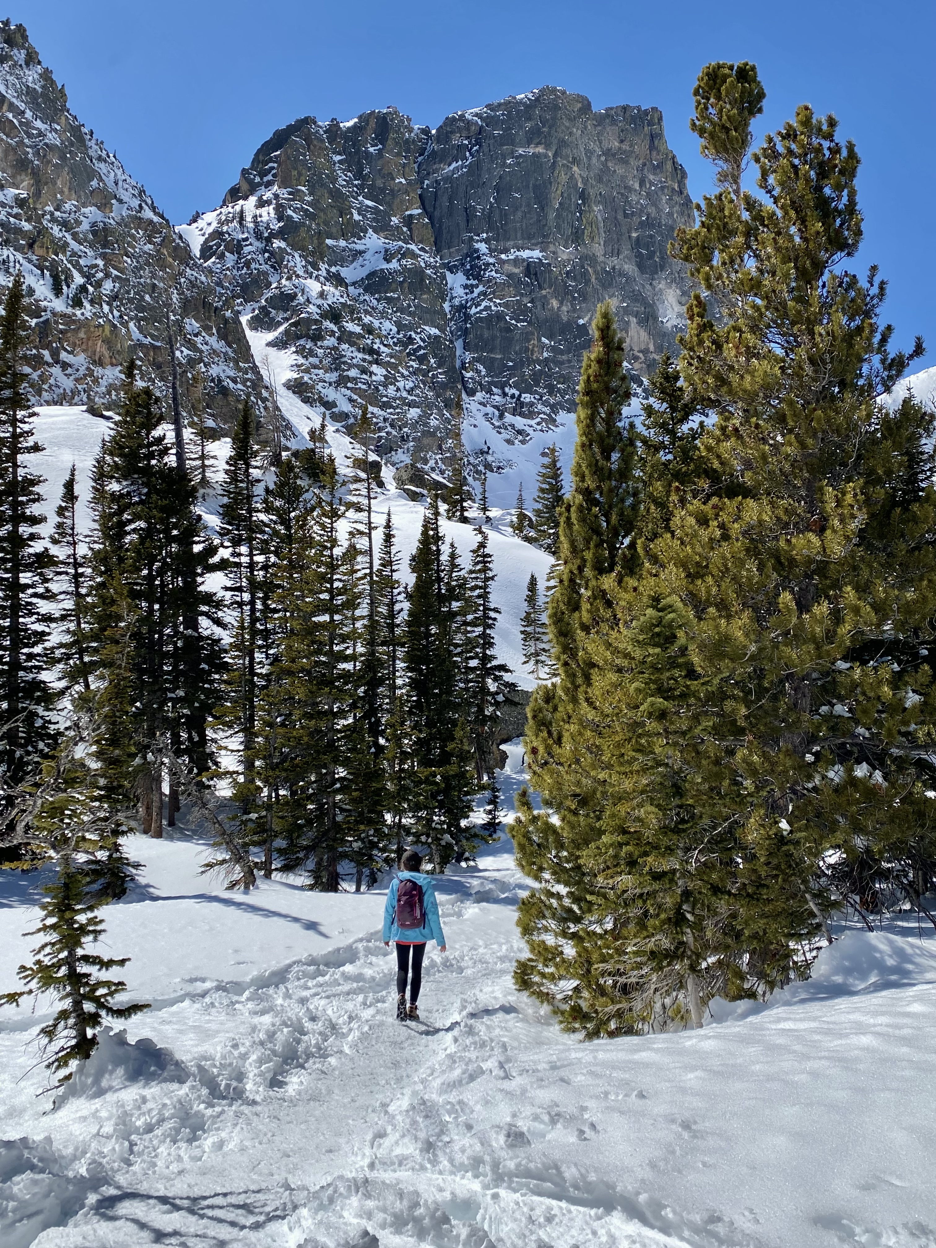 how to explore rocky mountain national park in the winter - snowy hikes