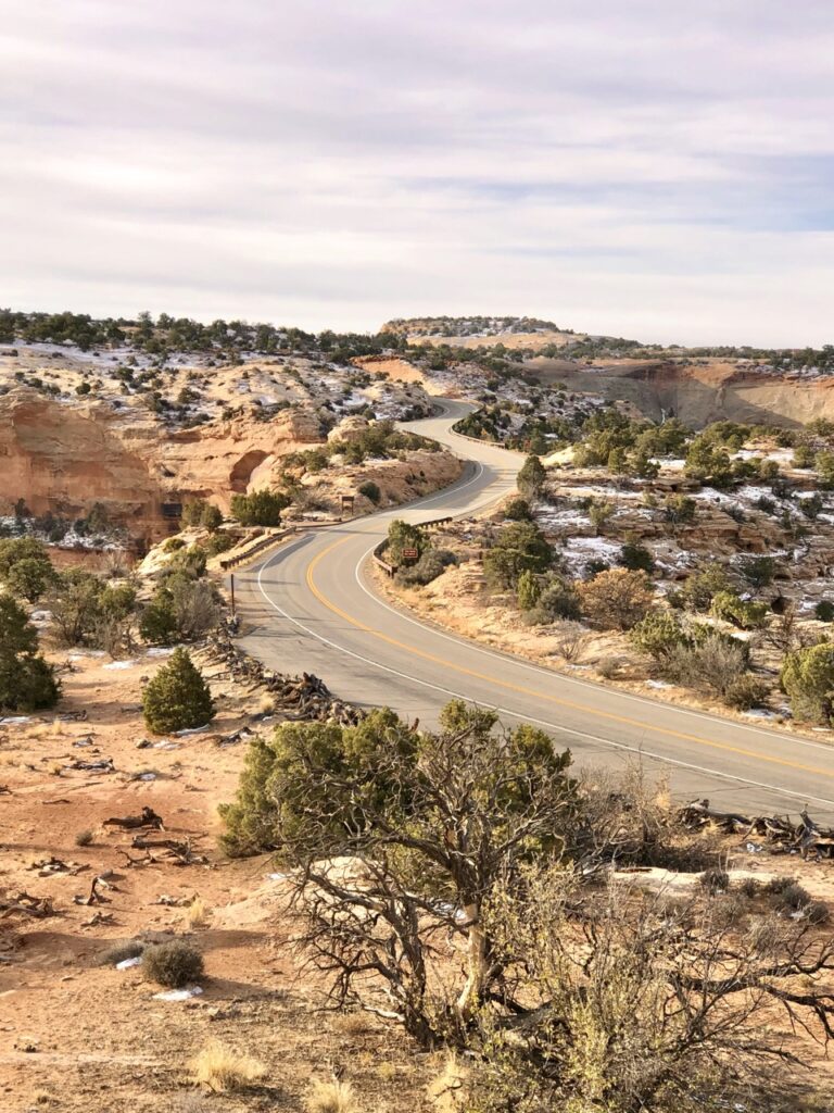 Winding road through desert and canyons with green juniper trees on the side of the road. 