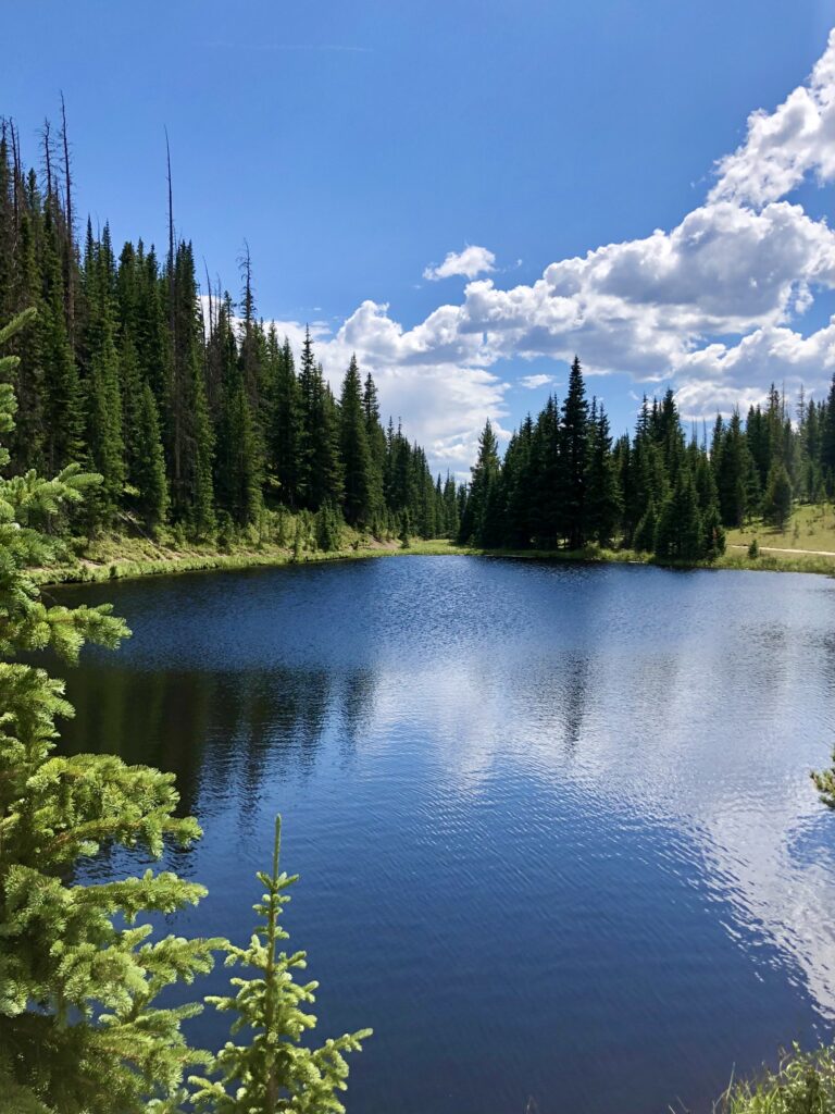 A dark blue lake is surrounded by green trees and a bright blue sky with clouds. 