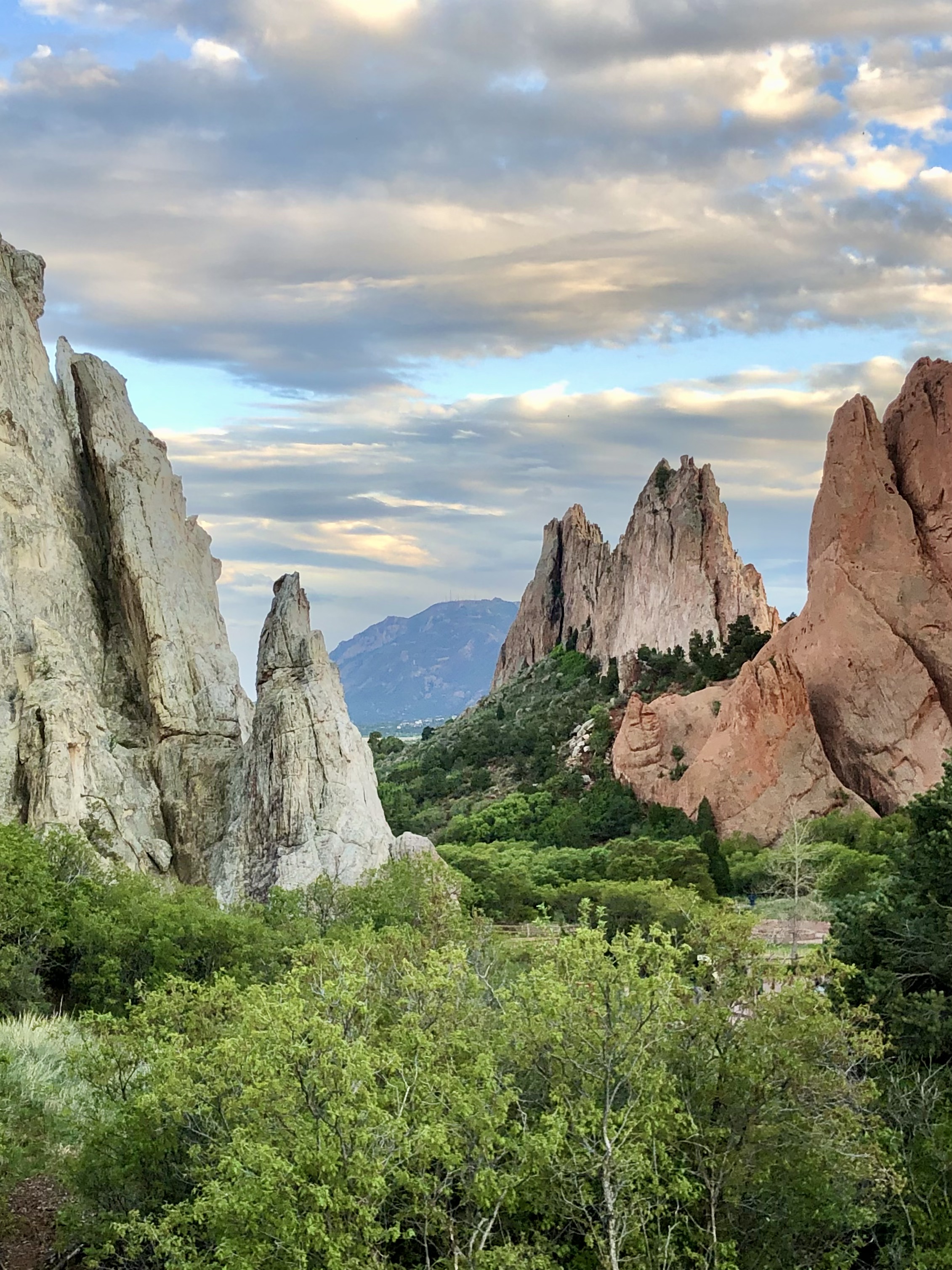 Green trees form the front of this picture and red jagged rocks. Cloudy sky with a sunset are the backdrop.