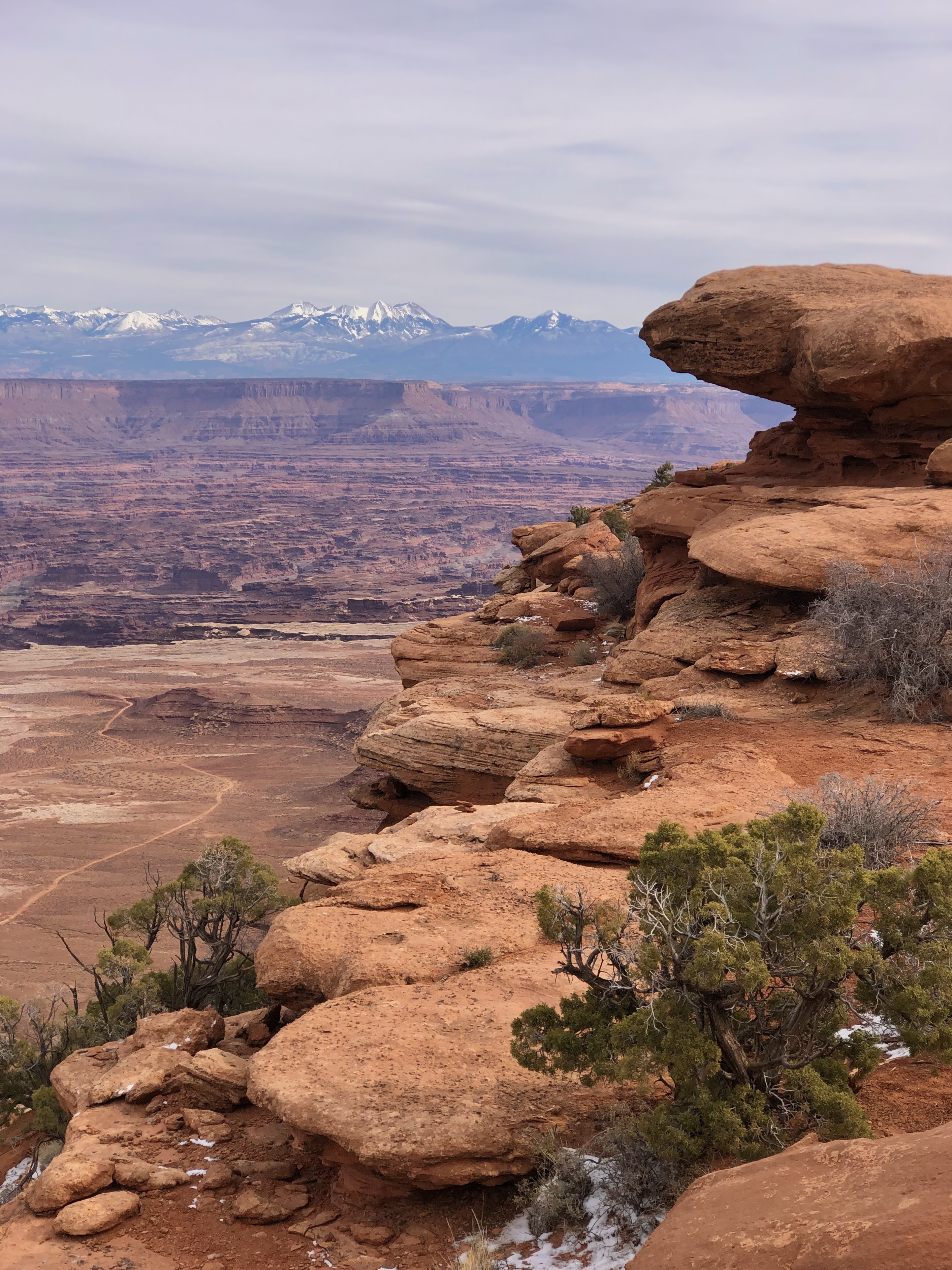 distant snowy mountains with canyon and red rock in foreground. small green juniper bushes line the hiking trail. 