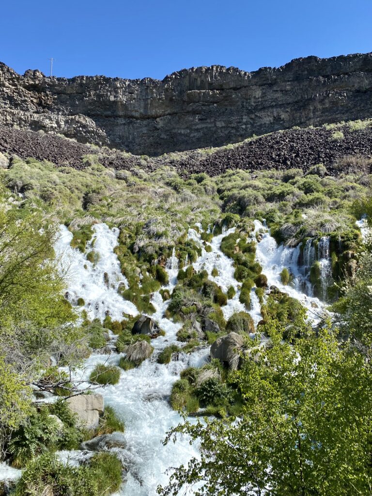 White rushing springs appear out of a cliffside covered in green moss and grass. 