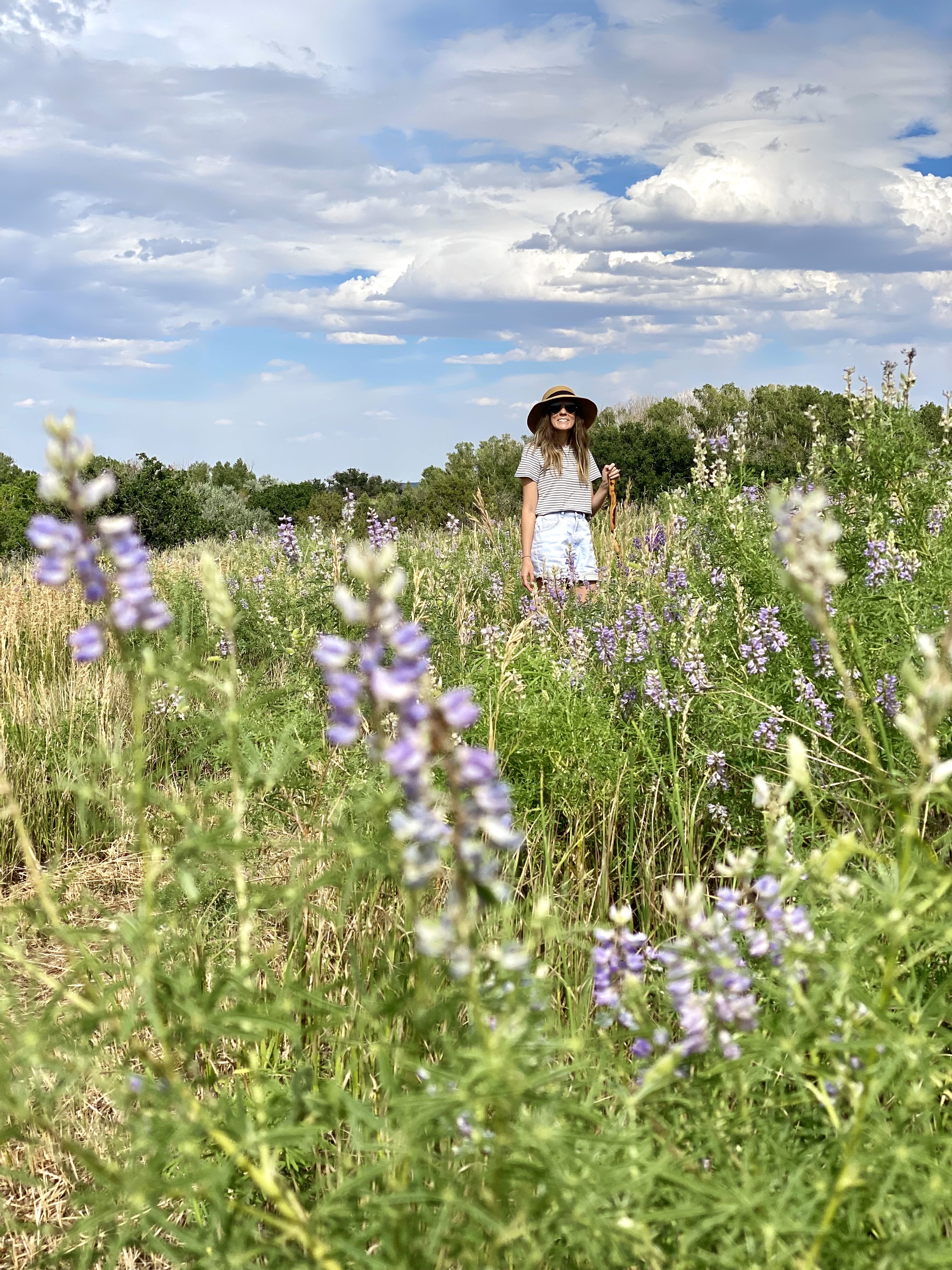 Caroline, in a striped shirt and jean shorts, walks in a flower filled field. the best outdoor activities to do around colorado springs. 